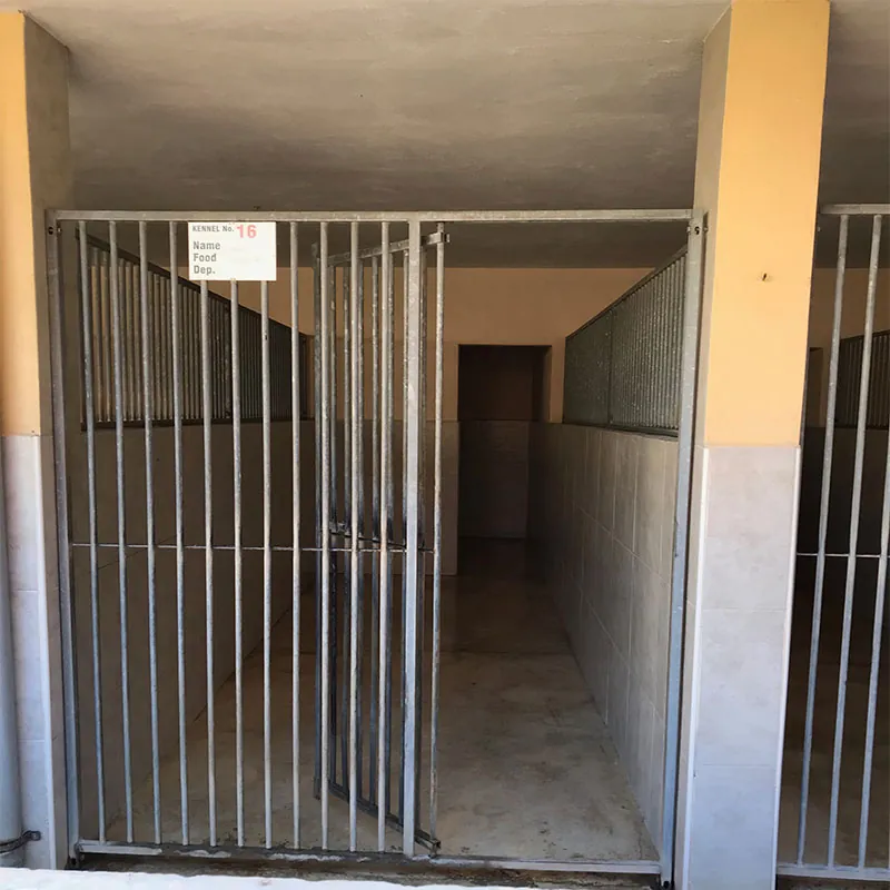 An individual kennel room with tiled walls.
